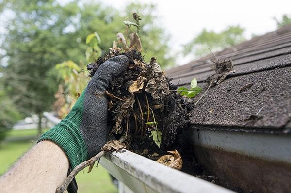 during gutter cleaning, we remove leaves, twigs, dirt, and other buildup from the gutters